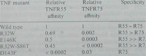 The Relative Binding Affinities Of The Tnf Mutants Download Table