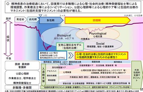 【ソーシャルワーク】バイオ・サイコ・ソーシャルモデル 精神保健福祉士国試 2カ月で合格できる覚え方