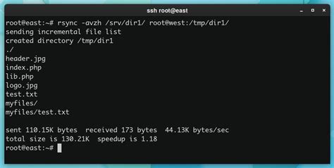 Rsync Command In Linux With Practical Examples