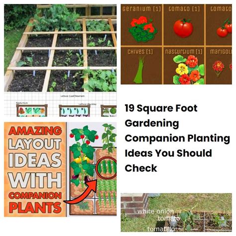 19 Square Foot Gardening Companion Planting Ideas You Should Check ...