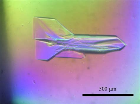 Iucr Expression Purification Crystallization And Preliminary X Ray