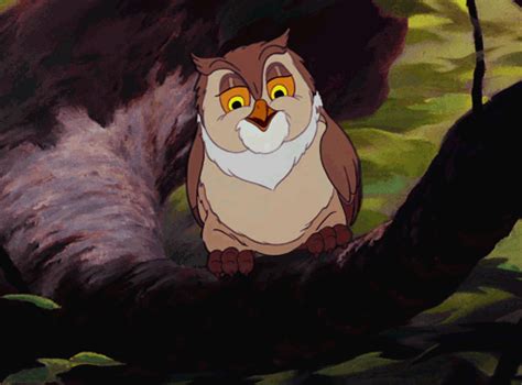 Idek I Got Scared When Owl Did That Lmao  Forest Cartoon Hoot Owl Bambi Disney