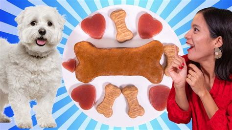 3 RECETAS DE COMIDA PARA PERROS FÁCILES Y DELICIOSAS La Cooquette