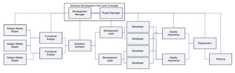 Software Development Team Roles