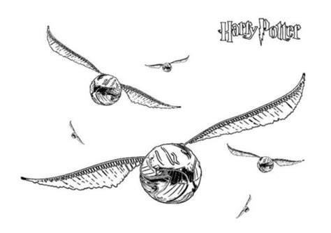 30 Free Harry Potter Coloring Pages Printable