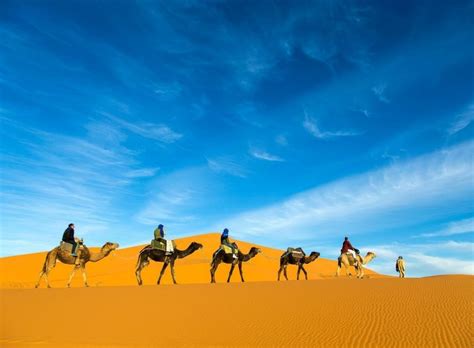 Best Morocco Tours And Excursions Prices For 2024 2025