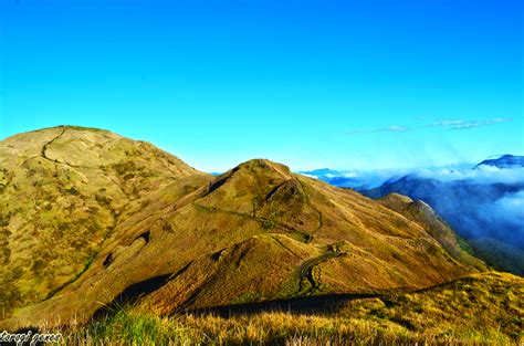 Mt. Pulag – Loneprowler