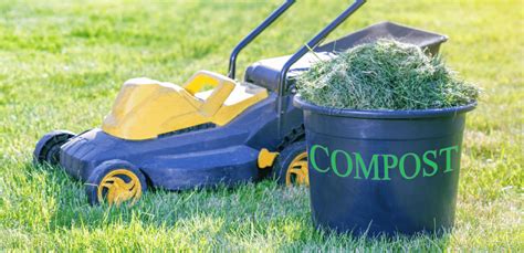 Grass Clippings as Compost - Gardening Soul