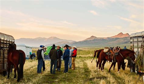 The Antelope Island Bison Roundup