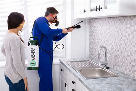 Factors To Consider While Hiring Pest Control Company