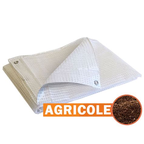 Bache de protection agricole 170 g m² 4 x 10 m Transparente