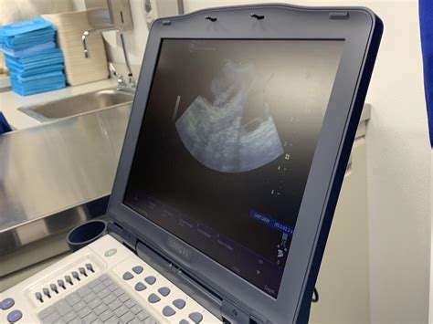 Veterinary Technology - Programs - Regional Occupational Center