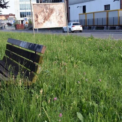 Bergamo Erba Alta Nelle Aiuole Si Corre Ai Ripari Con Il Metodo