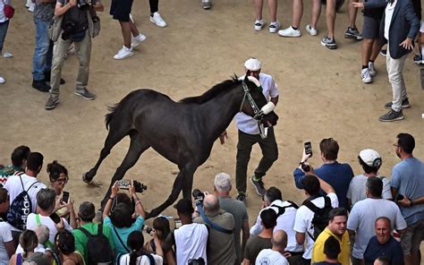 Palio Di Siena Dell Assunta L Oca Vince Con Cavallo Zio Frac