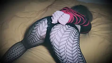 Hardcore Tied Up Fuck BDSM Bondage Mouth Plug Loud Moaning Hands Tied Up XHamster