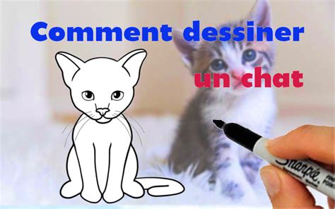 Comment dessiner un chat Astuces et tuto vidéo