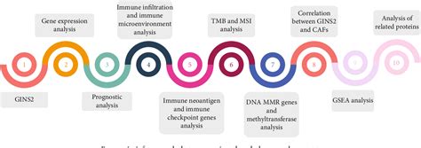 Figure 1 From Comprehensive Pan Cancer Analysis Of Gins2 For Human