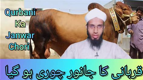 Qurbani Ka Janwar Chori Hogaya Qurbani Molanazahidamani Youtube