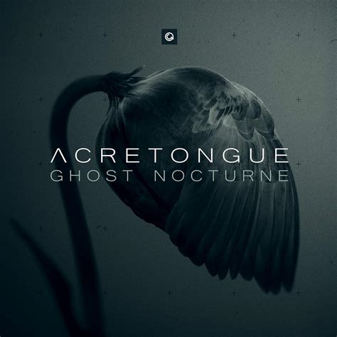 amazoncom ghost nocturne cds vinyl