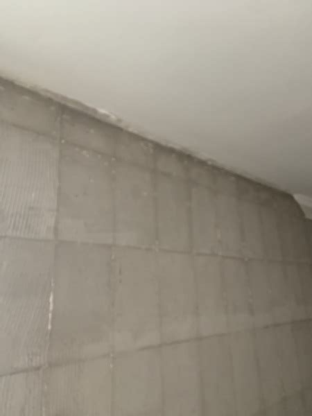 Enlucir Pared Sobre Cemento O No Se Puede Habitissimo