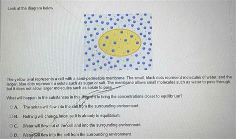 Look At The Diagram Below The Yellow Oval Represents A Cell With A