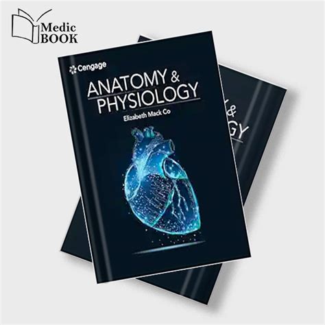 Anatomy And Physiology Elizabeth Co