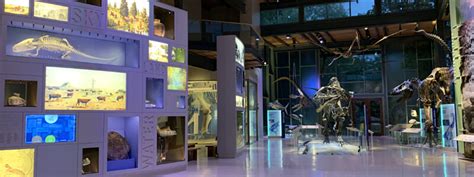 The Witte Museum – San Antonio - San Antonio Community Guide