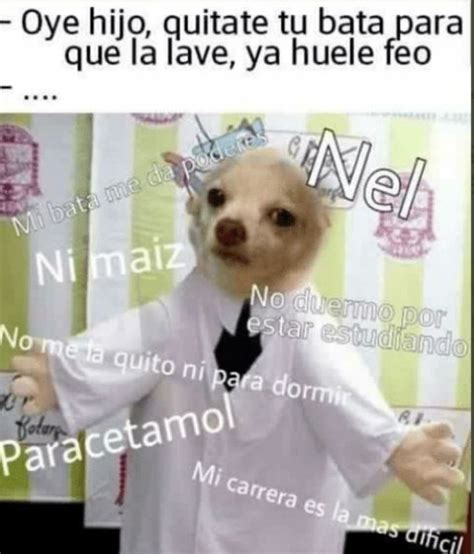 ¡feliz Día Del Médico Celebra A Tus Conocidos Con Divertidos Memes