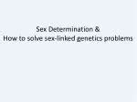 PPT Chapter 4 Sex Determination And Sex Linked Characteristics