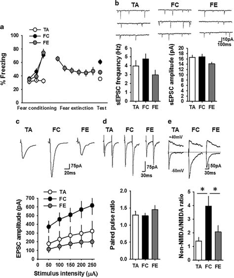 Fear Dependent Synaptic Plasticity In The Cem Neurons A Percentage Download Scientific