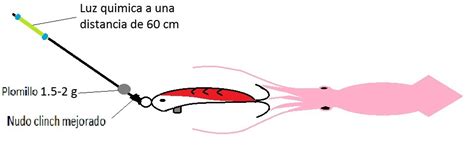 Asturkayak Pesca Del Calamar Parte Ii