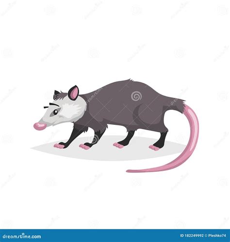 Opossum Cartoons, Illustrations & Vector Stock Images - 2859 Pictures