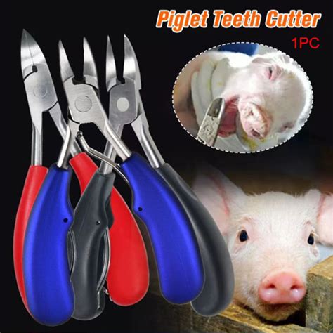 Stainless Steel Teeth Cutting Pliers Tooth Cutter For Piglets Pig Tooth