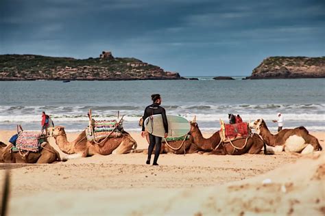 Que Faire Lors D Un Voyage Essaouira Maroc Passporter Blog