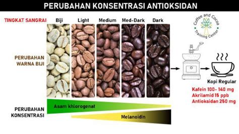 Kopi Dalam Perspektif Kesehatan Coffee And Cacao Training Center