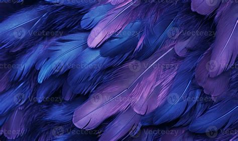 Feathers soft background. Purple bird feathers. For banner, postcard ...