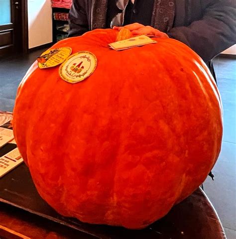 La Zucca Di Rocchetta Di Cengio Approda Al Villaggio Dei Fiori Di