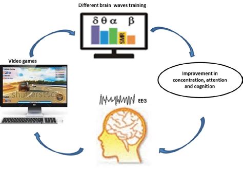 Process Of Neurofeedback Training Download Scientific Diagram