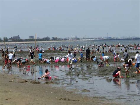 伊勢志摩・三重で必ず寄りたいおすすめの人気潮干狩りスポット まっぷるトラベルガイド