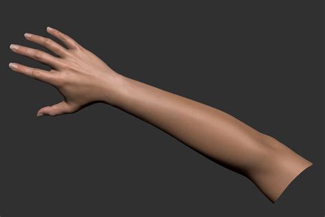 Realistic Female Arm 3d Model 99 Max Ma Ztl Fbx Obj Free3d