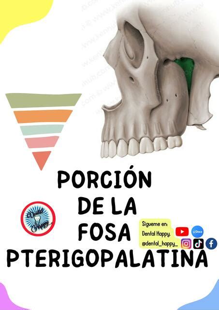 Porción De La Fosa Pterigopalatina Alan Díaz Udocz