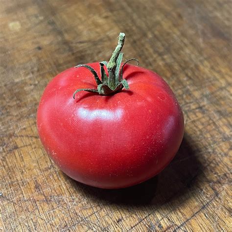 German Giant - Tomato Seeds - Heirloom Tomato - 25+ Seeds – Oak Summit
