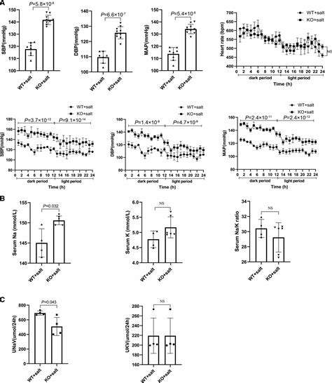 Ankrd Is Involved In Hypertension By Altering Expression Of Enac