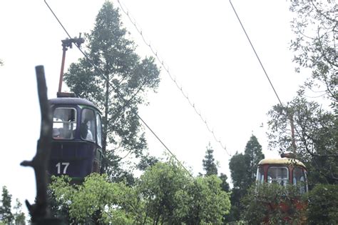 Tak Perlu Jauh Jauh Ke Genting Highland Di Taman Safari Bogor Sudah