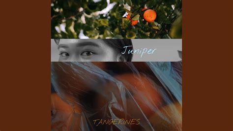 Tangerines Youtube