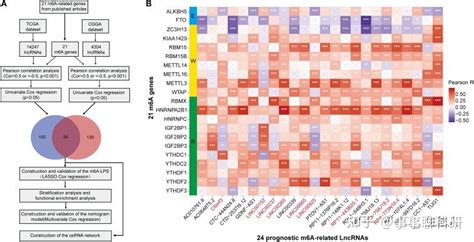 （国自然热点）m6a相关lncrna预后分析 知乎