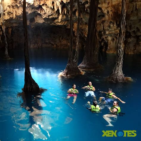 Discovering Beautiful Cenotes With Xenotes Oasis Maya Plan 55 OFF