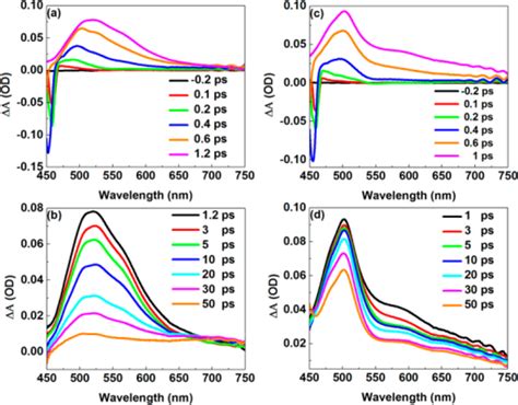 Femtosecond Transient Absorption Spectra Recorded In CH Open I