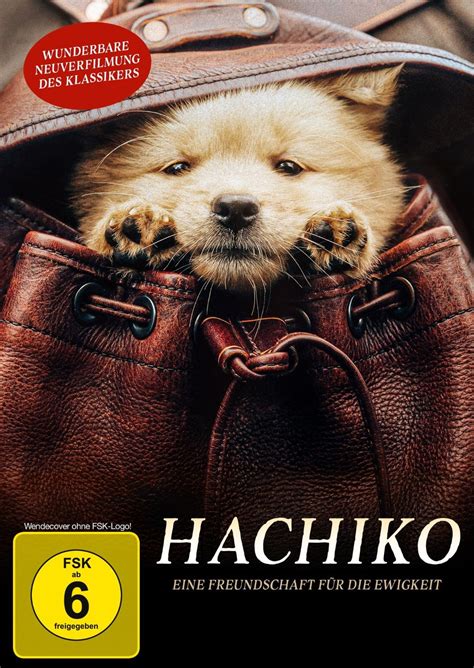 Hachiko Eine Freundschaft für Ewigkeit Film 2023 FILMSTARTS de