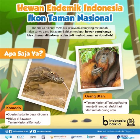 gambar hewan endemik indonesia  koleksi gambar